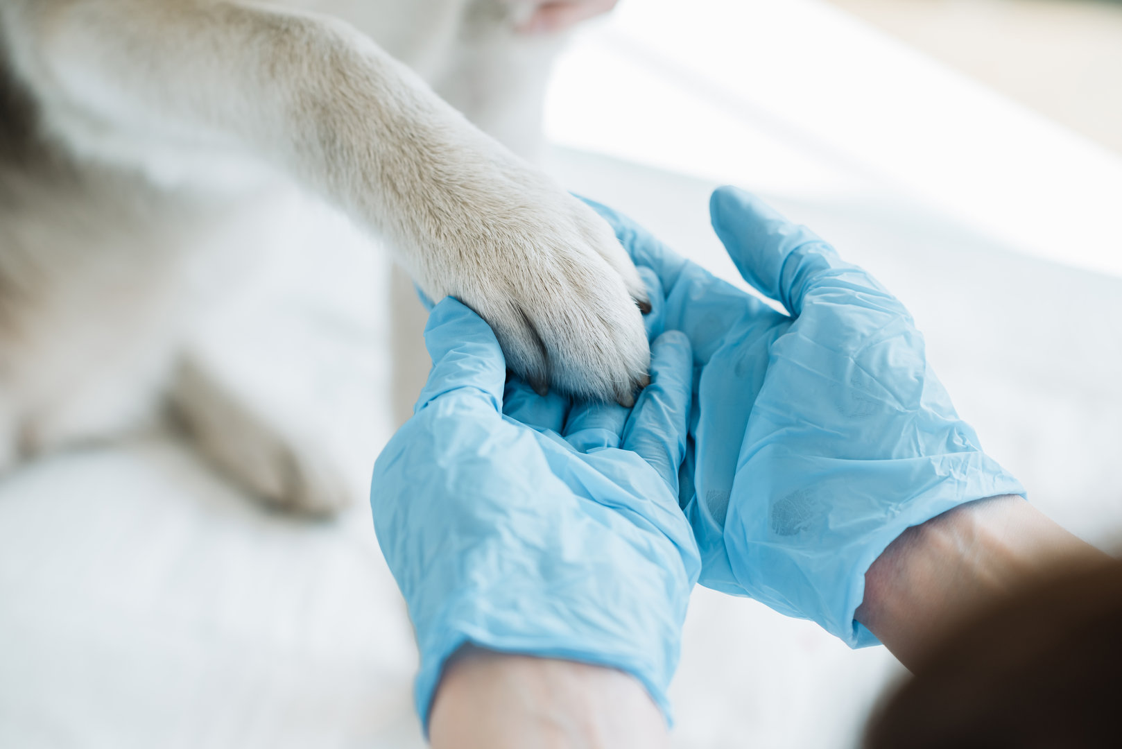 Jockey Club College of Veterinary Medicine and Life Sciences